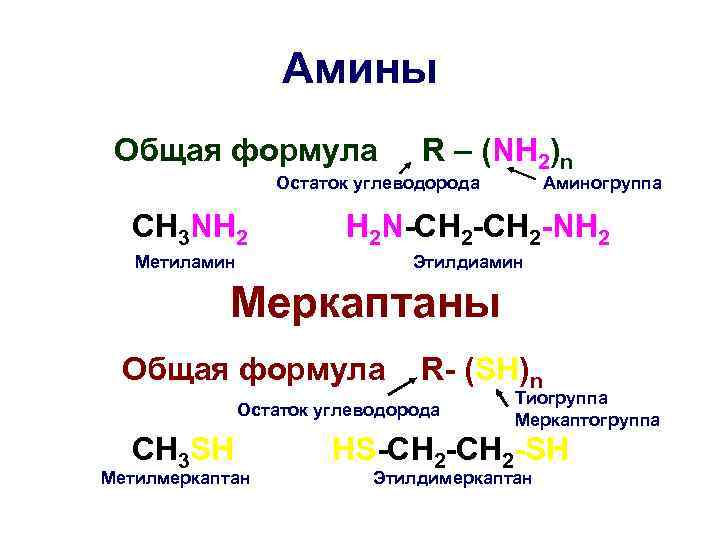 Амины Общая формула R – (NH 2)n Остаток углеводорода CH 3 NH 2 Аминогруппа