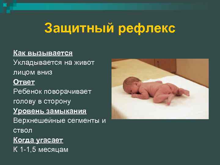 Защитный рефлекс Как вызывается Укладывается на живот лицом вниз Ответ Ребенок поворачивает голову в