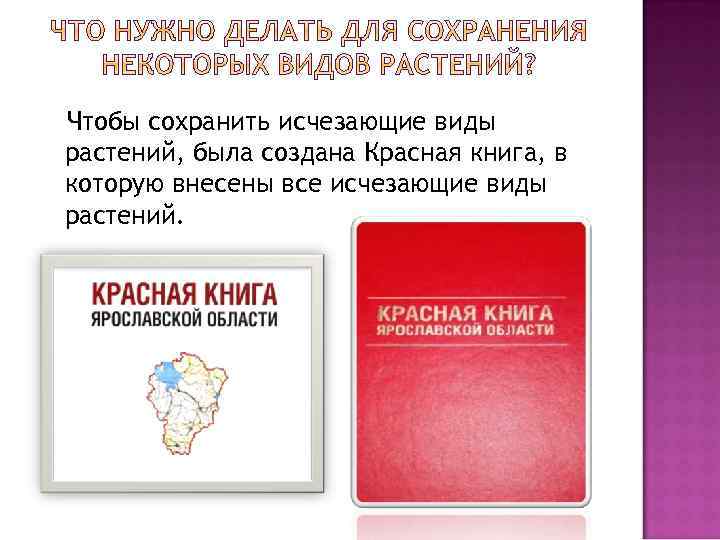 Чтобы сохранить исчезающие виды растений, была создана Красная книга, в которую внесены все исчезающие
