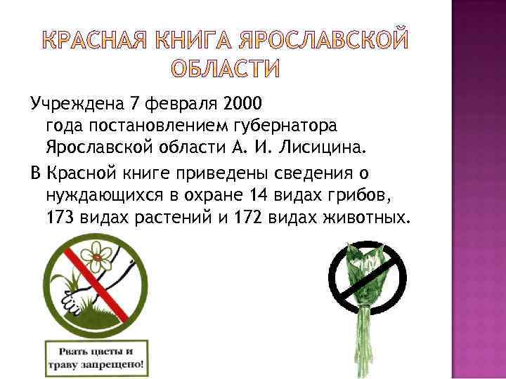 Учреждена 7 февраля 2000 года постановлением губернатора Ярославской области А. И. Лисицина. В Красной