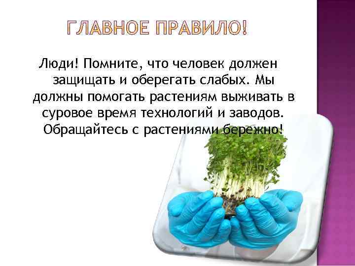 Люди! Помните, что человек должен защищать и оберегать слабых. Мы должны помогать растениям выживать