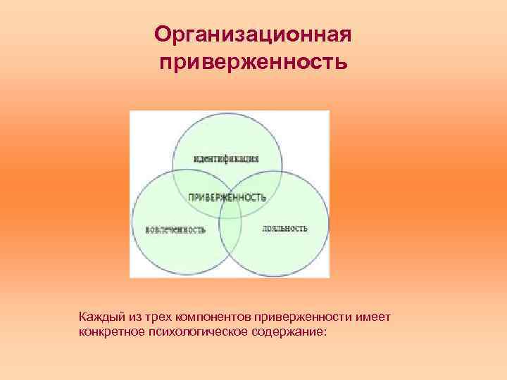 Приверженность это. Организационная приверженность. Компоненты организационной приверженности. Аффективная приверженность. Приверженность картинка.