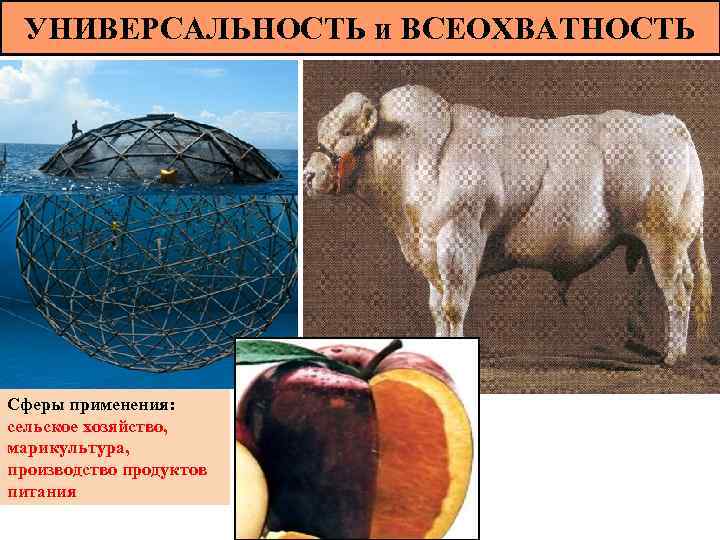 УНИВЕРСАЛЬНОСТЬ и ВСЕОХВАТНОСТЬ Сферы применения: сельское хозяйство, марикультура, производство продуктов питания 