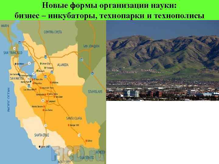 Новые формы организации науки: бизнес – инкубаторы, технопарки и технополисы 