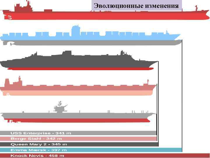 Эволюционные изменения 