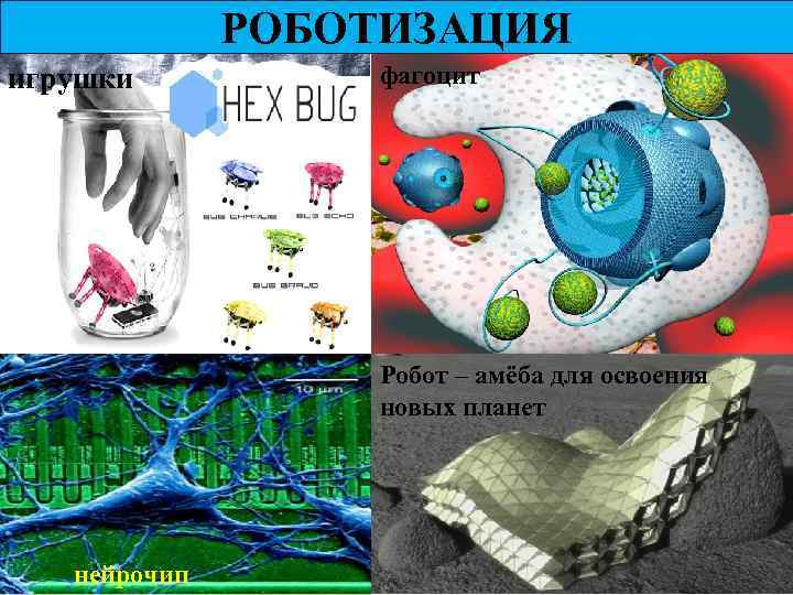 РОБОТИЗАЦИЯ игрушки фагоцит Робот – амёба для освоения новых планет нейрочип 