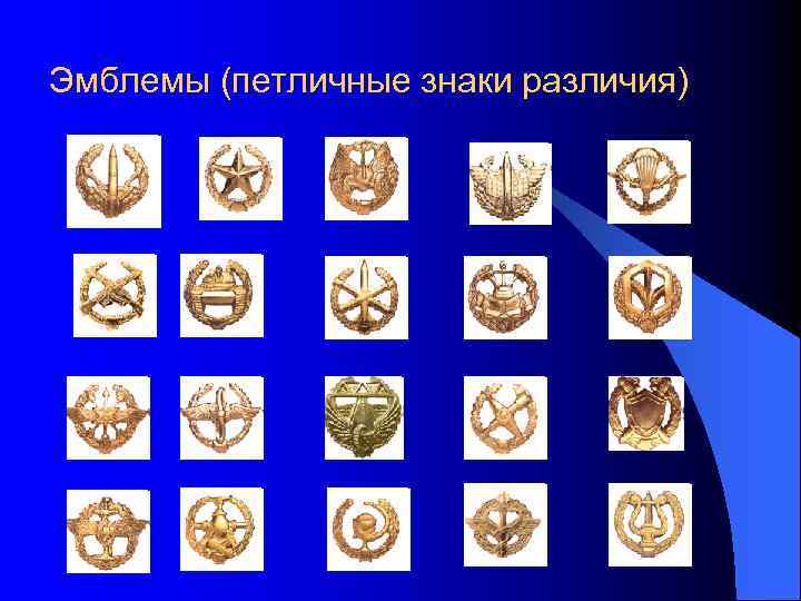 Эмблемы (петличные знаки различия) 