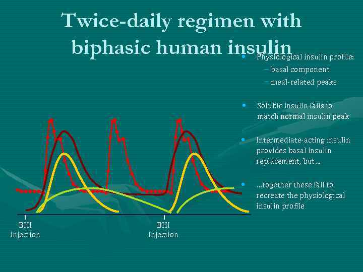 Twice-daily regimen with biphasic human insulin • Physiological insulin profile: – basal component –