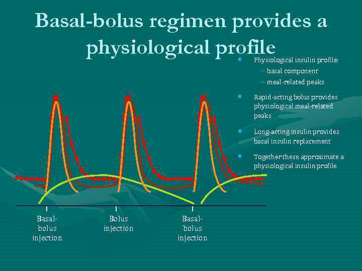 Basal-bolus regimen provides a physiological profile • Physiological insulin profile: – basal component –
