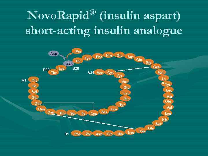 Novo. Rapid® (insulin aspart) short-acting insulin analogue Pro Asp Thr B 30 A 1