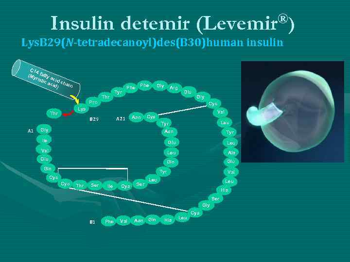 Insulin detemir ®) (Levemir Lys. B 29(N-tetradecanoyl)des(B 30)human insulin C 14 (My fatty a