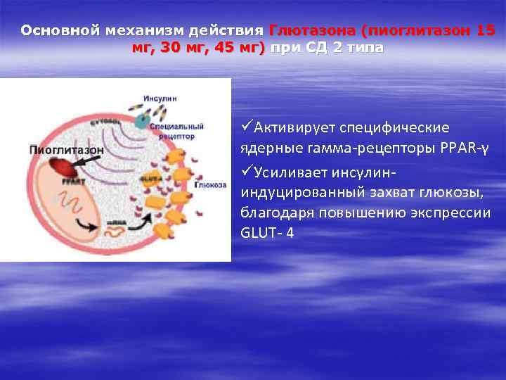 Основной механизм действия Глютазона (пиоглитазон 15 мг, 30 мг, 45 мг) при СД 2