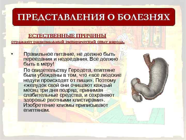 ПРЕДСТАВЛЕНИЯ О БОЛЕЗНЯХ ЕСТЕСТВЕННЫЕ ПРИЧИНЫ отражают рациональный эмпирический опыт народа. • Правильное питание, не