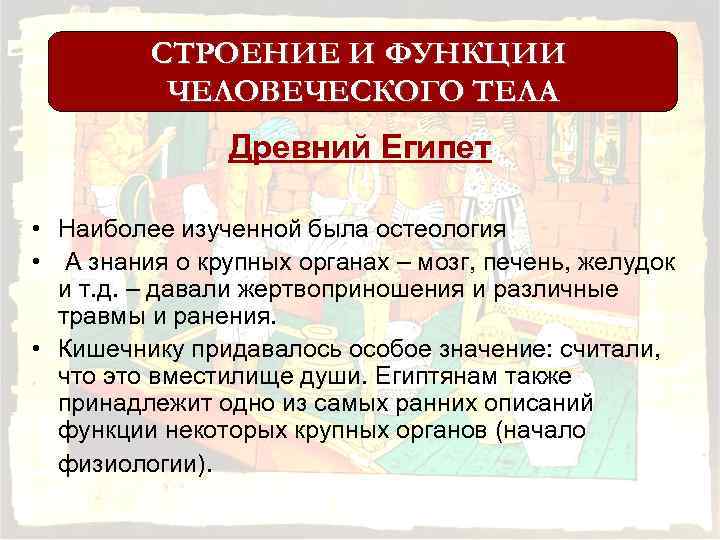 СТРОЕНИЕ И ФУНКЦИИ ЧЕЛОВЕЧЕСКОГО ТЕЛА Древний Египет • Наиболее изученной была остеология • А