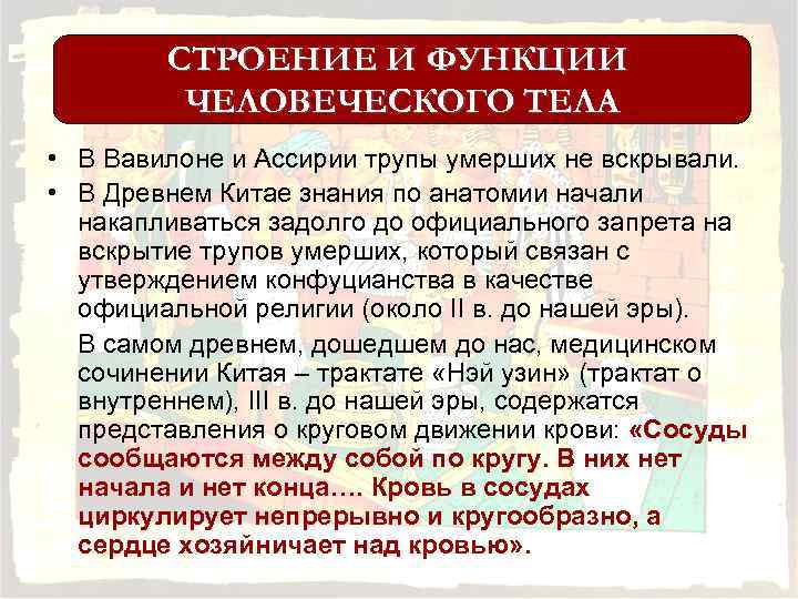 СТРОЕНИЕ И ФУНКЦИИ ЧЕЛОВЕЧЕСКОГО ТЕЛА • В Вавилоне и Ассирии трупы умерших не вскрывали.