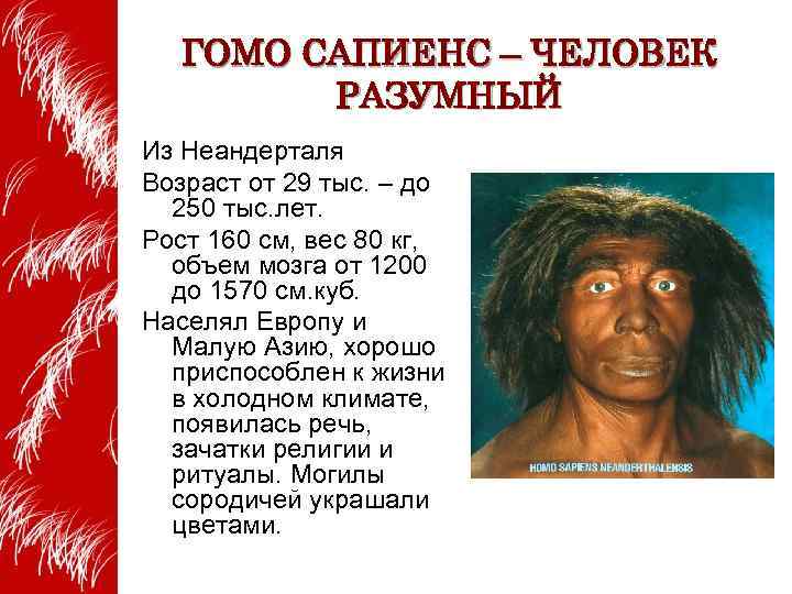 Homo означает. Гомосапиенс сапиенс хомо. Человек разумный Гомосапиенс характеристики. Хомо сапиенс человек разумный. Возраст homo sapiens.