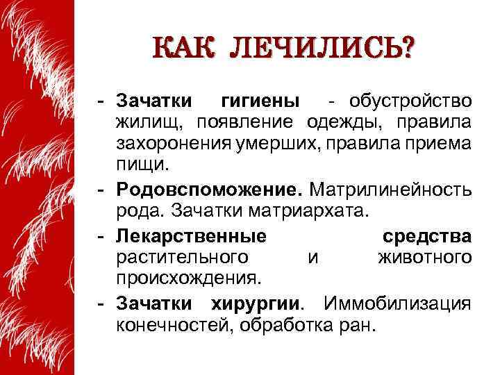 КАК ЛЕЧИЛИСЬ? - Зачатки гигиены - обустройство жилищ, появление одежды, правила захоронения умерших, правила