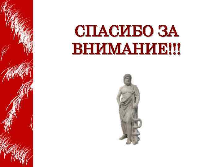 СПАСИБО ЗА ВНИМАНИЕ!!! 