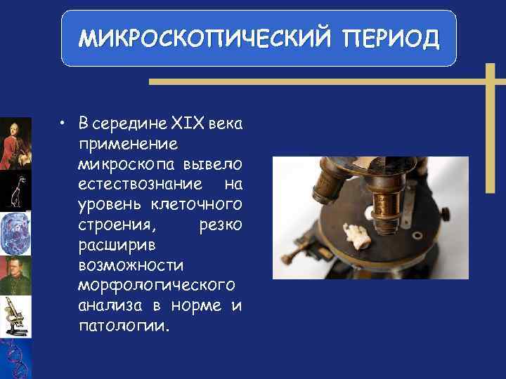 МИКРОСКОПИЧЕСКИЙ ПЕРИОД • В середине XIX века применение микроскопа вывело естествознание на уровень клеточного