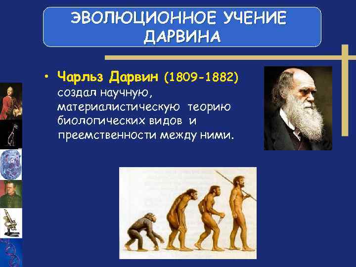 Учение об эволюции. Эволюционное учение Чарльза Дарвина. Чарли Дарвин эволюцоное учение. Эволюционная теория Чарльза Дарвина. Эволюция по теории Чарльза Дарвина.