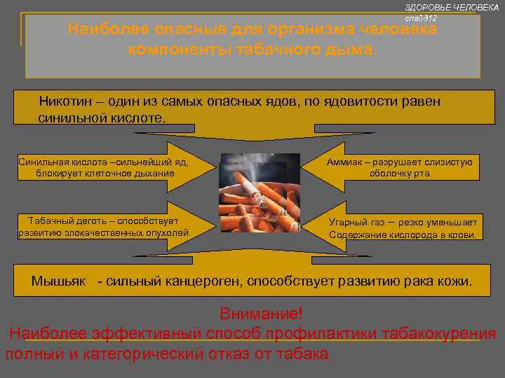 ЗДОРОВЬЕ ЧЕЛОВЕКА слайд 12 Наиболее опасные для организма человека компоненты табачного дыма. Никотин –