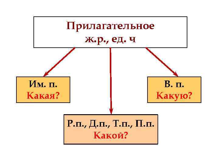 Прилагательное ж. р. , ед. ч Им. п. Какая? В. п. Какую? Р. п.