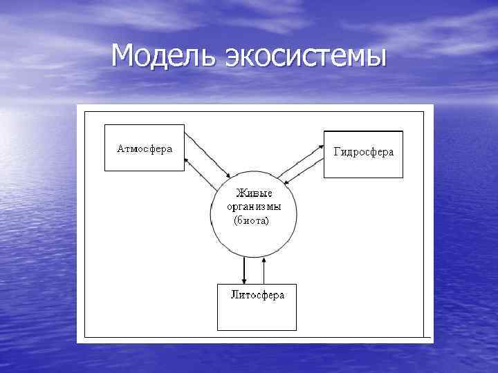 Слепая схема модели биогеоценоза