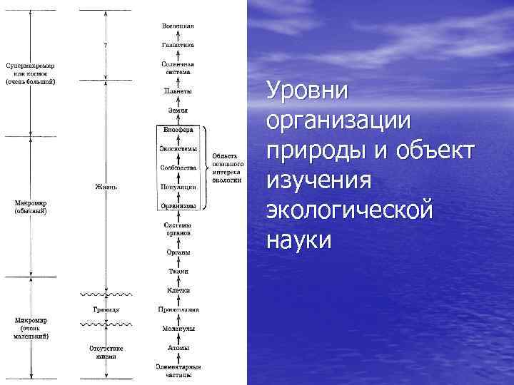Уровни организации природы и объект изучения экологической науки 