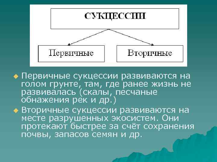 Первичные сукцессии развиваются на голом грунте, там, где ранее жизнь не развивалась (скалы, песчаные