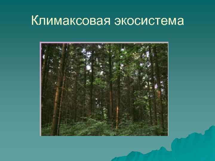 Климаксовая экосистема 