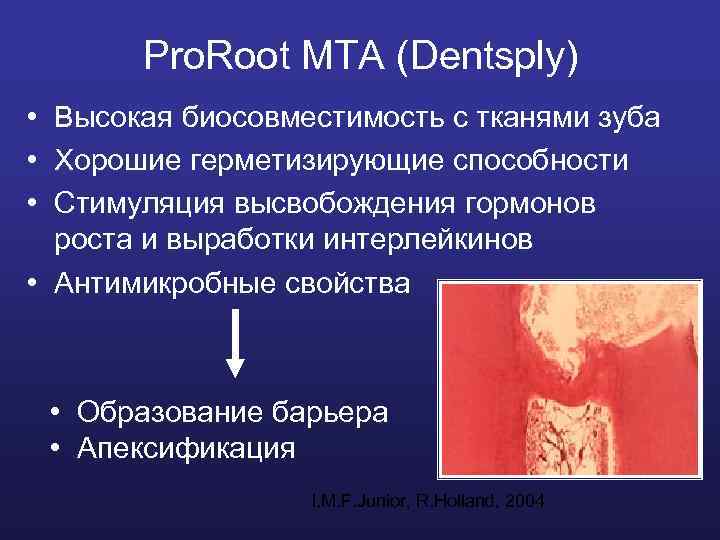 Pro. Root MTA (Dentsply) • Высокая биосовместимость с тканями зуба • Хорошие герметизирующие способности