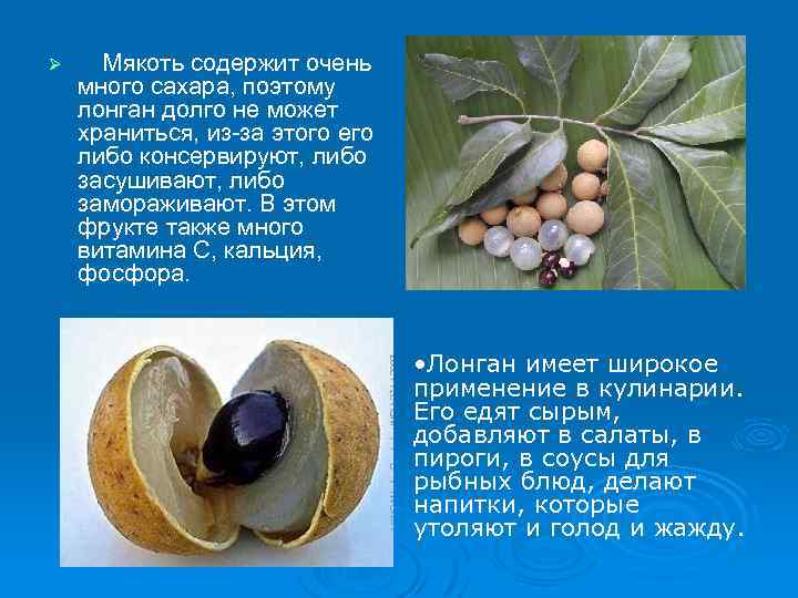 Ø Мякоть содержит очень много сахара, поэтому лонган долго не может храниться, из за