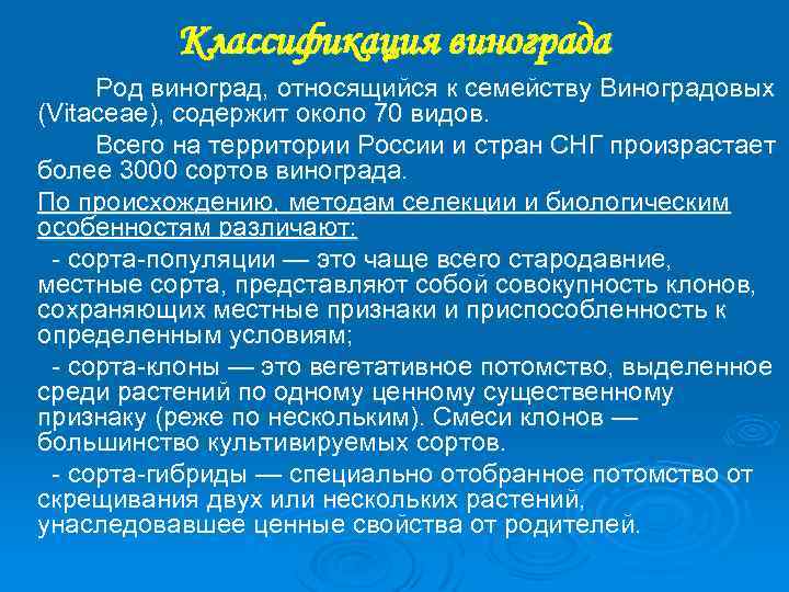 Классификация винограда Род виноград, относящийся к семейству Виноградовых (Vitaceae), содержит около 70 видов. Всего