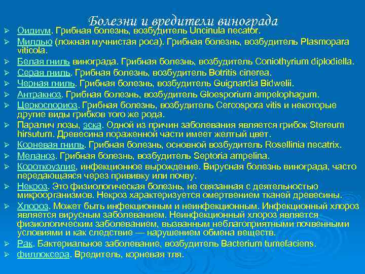 Ø Ø Ø Ø Болезни и вредители винограда Оидиум. Грибная болезнь, возбудитель Uncinula necator.