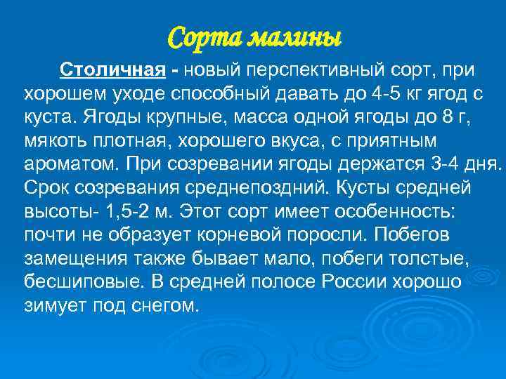 Сорта малины Столичная - новый перспективный сорт, при хорошем уходе способный давать до 4