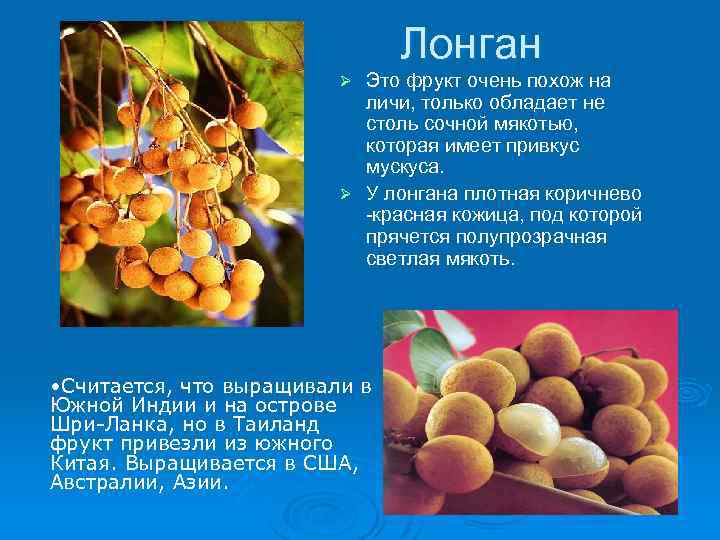 Лонган Это фрукт очень похож на личи, только обладает не столь сочной мякотью, которая