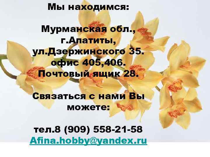 Мы находимся: Мурманская обл. , г. Апатиты, ул. Дзержинского 35. офис 405, 406. Почтовый