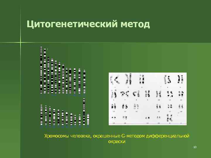 Цитогенетический метод Хромосомы человека, окрашенные G-методом дифференциальной окраски 10 
