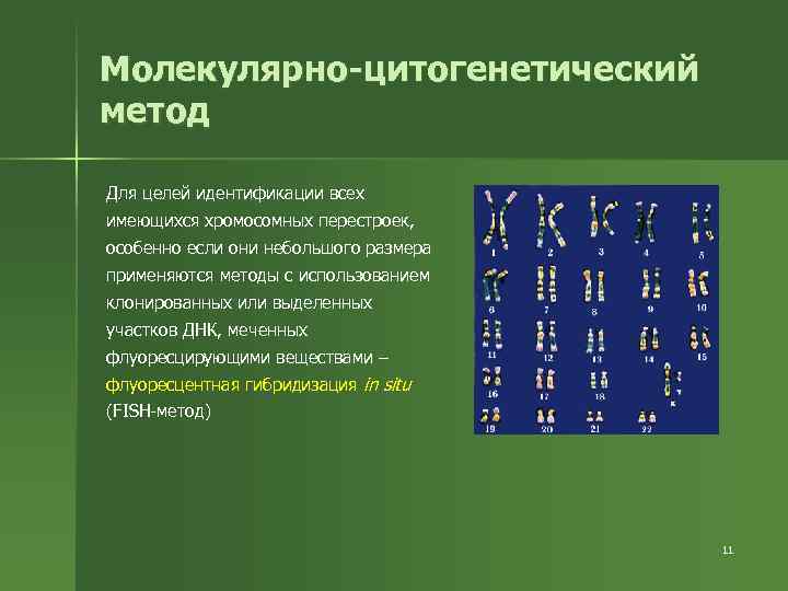 Цитогенетический метод устанавливает. Цитогенетический метод исследования.