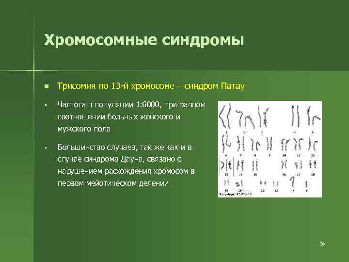 Хромосомные синдромы n Трисомия по 13 -й хромосоме – синдром Патау § Частота в