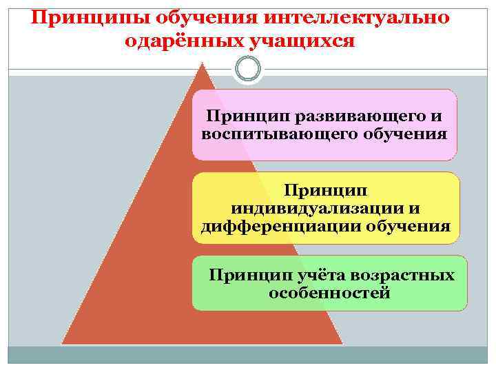 Принципы обучения интеллектуально одарённых учащихся Принцип развивающего и воспитывающего обучения Принцип индивидуализации и дифференциации