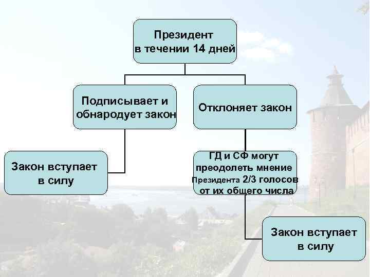 Президент в течении 14 дней Подписывает и обнародует закон Закон вступает в силу Отклоняет