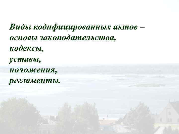 Виды кодифицированных актов – основы законодательства, кодексы, уставы, положения, регламенты. 