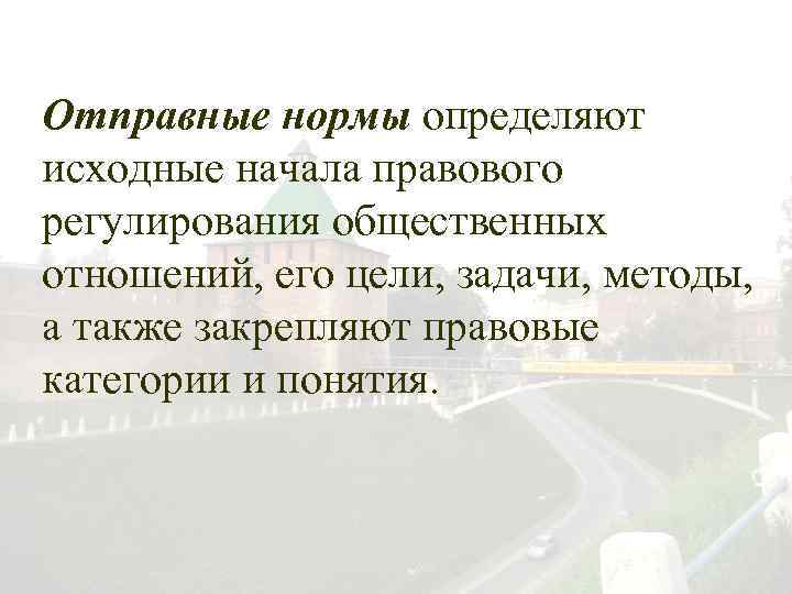 Отправные нормы определяют исходные начала правового регулирования общественных отношений, его цели, задачи, методы, а