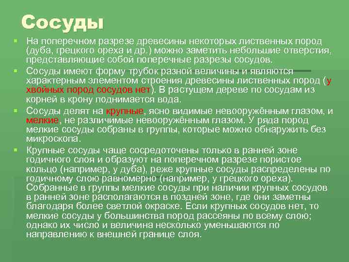 Сосуды § На поперечном разрезе древесины некоторых лиственных пород (дуба, грецкого ореха и др.