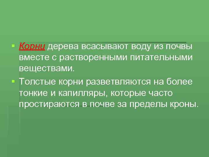 § Корни дерева всасывают воду из почвы вместе с растворенными питательными веществами. § Толстые