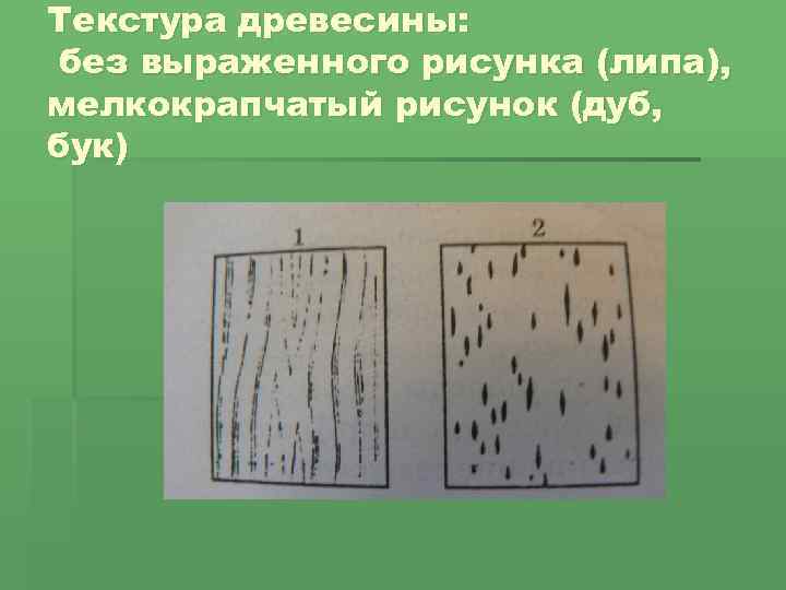 Текстура древесины: без выраженного рисунка (липа), мелкокрапчатый рисунок (дуб, бук) 