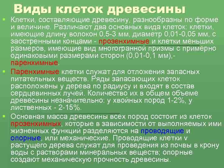 Виды клеток древесины § Клетки, составляющие древесину, разнообразны по форме и величине. Различают два