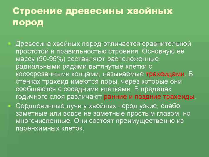 Строение древесины хвойных пород § Древесина хвойных пород отличается сравнительной простотой и правильностью строения.