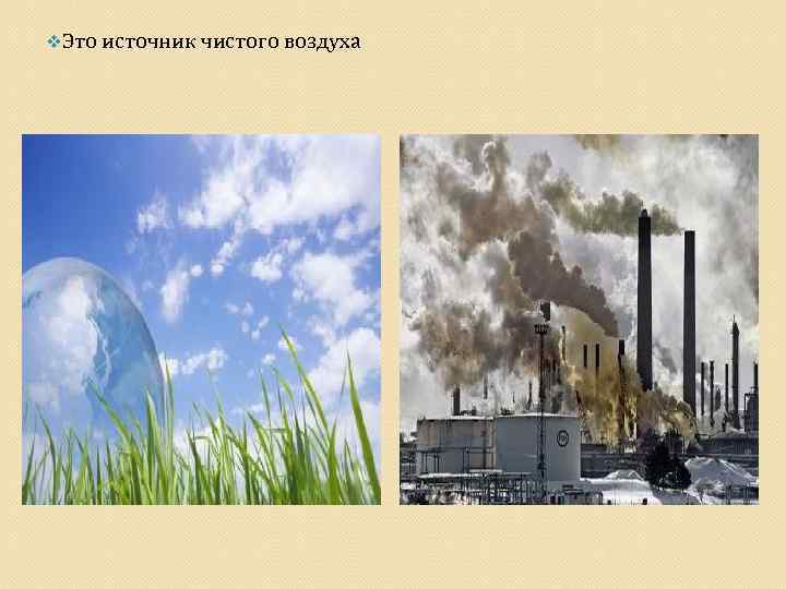 v. Это источник чистого воздуха 